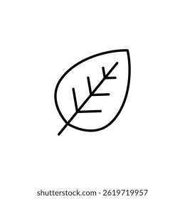 Simple and Minimalist Leaf Illustration in Black Outline on White Canvas