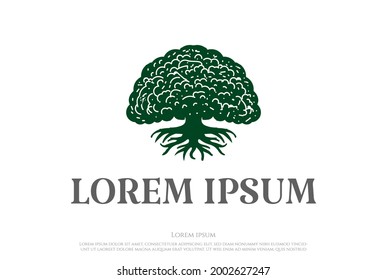 Simple Minimalist Maple Oak Banyan Tree Forest Garden Logo Design Vector