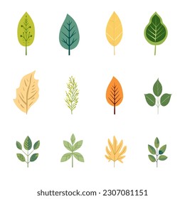 Simple minimalist style leaf object collection vector illustration in soft colors.