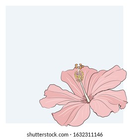 Simple minimalistic card template with flower. Hibiscus vector. For 8 march, print, invitation, wedding card.