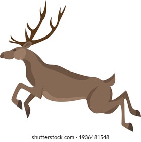 A simple, minimalistic image of a forest deer in a flat style