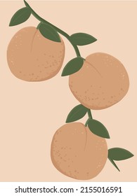 Simple minimalistic peach vector art. 