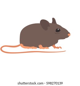 Simple Minimalistic Realistic Cartoon Vector of Mouse