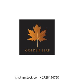 a simple modern elegance logo of golden leaf with black color background for your brand or business identity