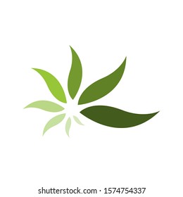 simple and modern green leaf logo vector elements
