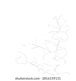 A simple and modern illustration of a single eucalyptus stem with rounded leaves. This minimalist botanical graphic is presented as an isolated cutout on transparent background for clean design aesthe