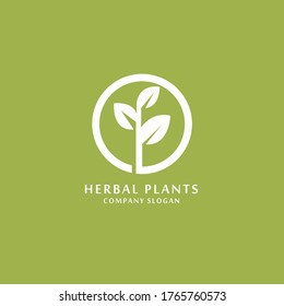 Simple Modern plant with Leaf logo design inspiration