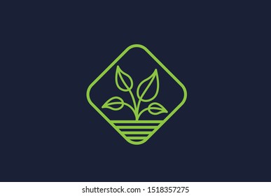 Simple modern plant with leaf square sign line art logo design