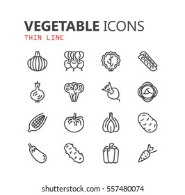 Simple modern set of vegetable icons. Premium symbol collection. Vector illustration. Simple pictogram pack.