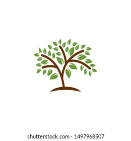 simple modern tree logo. green leaf eco logo template - vector
