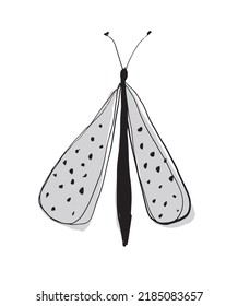 Einfache moderne Vektorgrafik mit schwarz-grauem Skizzenmotiv einzeln auf weißem Hintergrund. Freehand Insect Design ideal für Wall Art, Card, Poster. Abstrakte Line Art Zeichnen Nachtschmetterling.