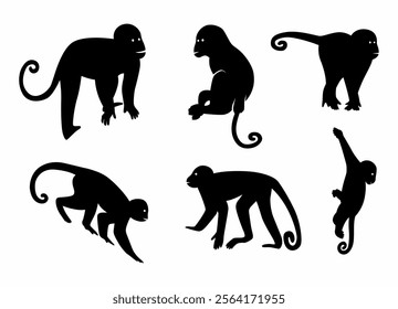 Simple monkey silhouette vector collection for design needs