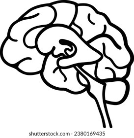 Simple monochrome illustration of a cross section of the brain (lateral ventricle)