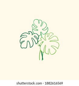 Simple monstera plant vector illustration design