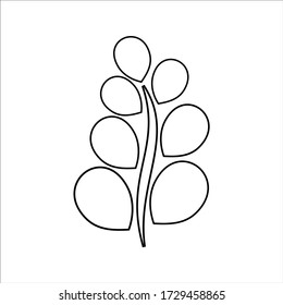 líneas de moringa simples que dejan iconos de diseño de iconos aislados en un fondo blanco