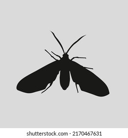 Simple moth silhouette vector on gray background