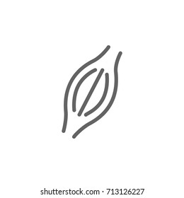 Simple muscle line icon. Symbol and sign vector illustration design. Editable Stroke. Isolated on white background