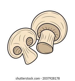 champiñón simple, con un esquema de dibujo manual de dibujo gráfico ilustrativo