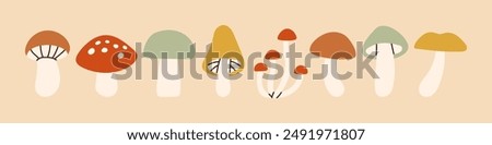 Simple mushroom set. Autumn set of hand drawn cute and cozy design elements. Fall, Thanksgiving Day, Autumn season. 