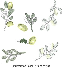 Simple naive greek olive leaves