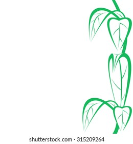 Simple natural background with green leaves.
