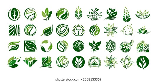 Simple natural plant leaf logo design set