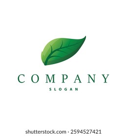 simple nature concept template illustration with minimalist green leaf logo for greening