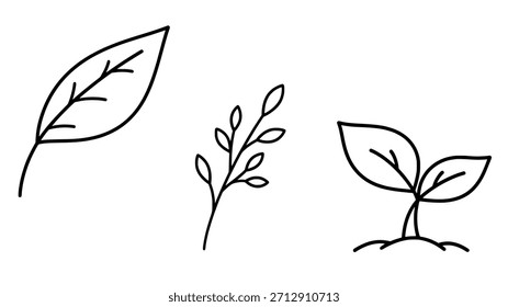 Sencillas hojas de la naturaleza y bocetos de Vector brotan. Esquemas botánicos dibujados a mano del crecimiento y follaje de las plantas.