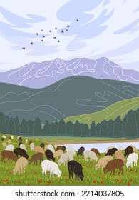 Einfache Naturszene mit Bergen, Wolke am blauen Himmel, Schafweiden auf grünem Rasen und fliegenden Vögeln. Landschaft der Stille mit Farmvieh Herde in Vektorminimalistischer Illustration. 