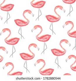 Sencillo y cuidado fondo de verano acuático con flamingo rosa 