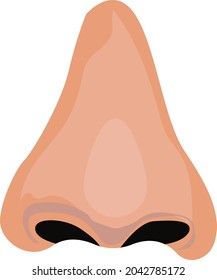 A  simple nose vector model. 