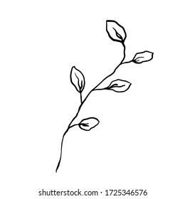 Silhouette de rama negra simple y no perfecta con hojas. Ilustración aislada en blanco. Signo asia del vector de dibujo manual, símbolo. 