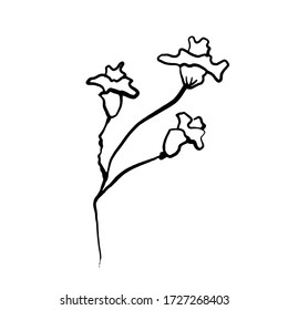 Simple not perfect black branch silhouette with flowers. Icon illustration isolated on white. Hand drawing vector asia sign, symbol. Wabi sabi japanese style.