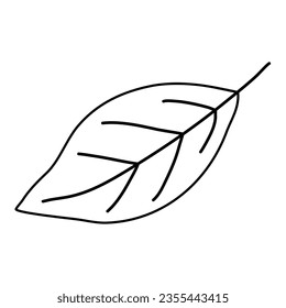Simple not serrated leaf, doodle style flat vector outline for coloring book