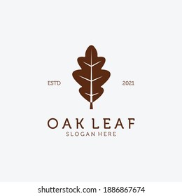 Simple Oak Leaf Logo Vector Vintage Design Illustration, Minimalist Oak Logo, Flat Logo OAK Leaf, Minimalist Logo, Vector of Acupuncture