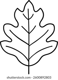 Simple Oak Leaf Outline – Minimalist Vector Illustration