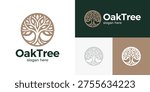 Simple oak tree logo design vector illustration