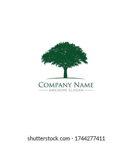 Simple Oak Tree Logo Design