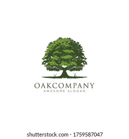 Simple Oak Tree Logo Design