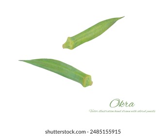 Einfaches Okra-Schnitt-Illustrationsmaterial