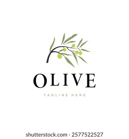 simple olive logo design olive fruit plant symbol of beauty and spa business brand template