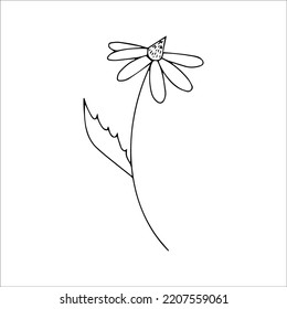 Einfache Zeichnung einer Blume, handgezeichnet