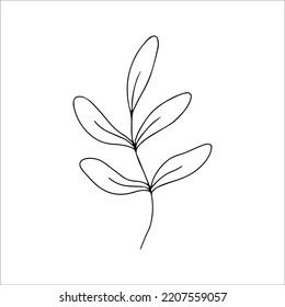 Simple one line drawing of a leaf, hand drawn