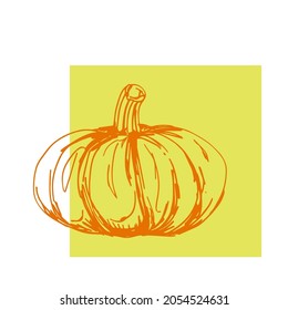 Simple orange contoured pumpkin vector illustration on the white and yellow background. Autumn vegetables template for design projects. Autumn harvest season. Thanksgiving day.