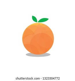 Simple Orange Fruit Logo Design Template