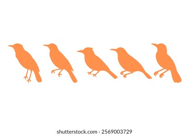 Simple Oriole Bird Illustration Design Set