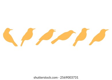 Simple Oriole Bird Illustration Design Set