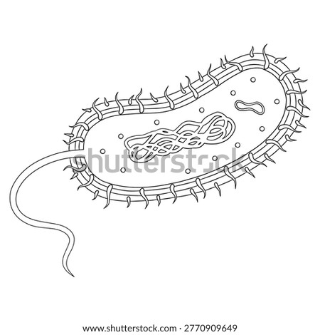 Simple outline bacteria cell structure illustration with flagellum and internal components educational biology line art diagram