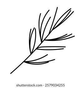 Simple outline of a delicate branch with slender leaves drawn in black on a white background