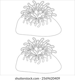 Simple outline drawing of a anemone, perfect for coloring, crafting, and educational use